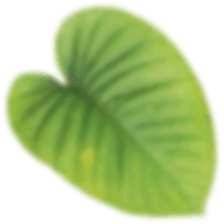 Ha-Ra Blatt